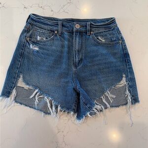 Amazon Blue Distressed Jean Shorts